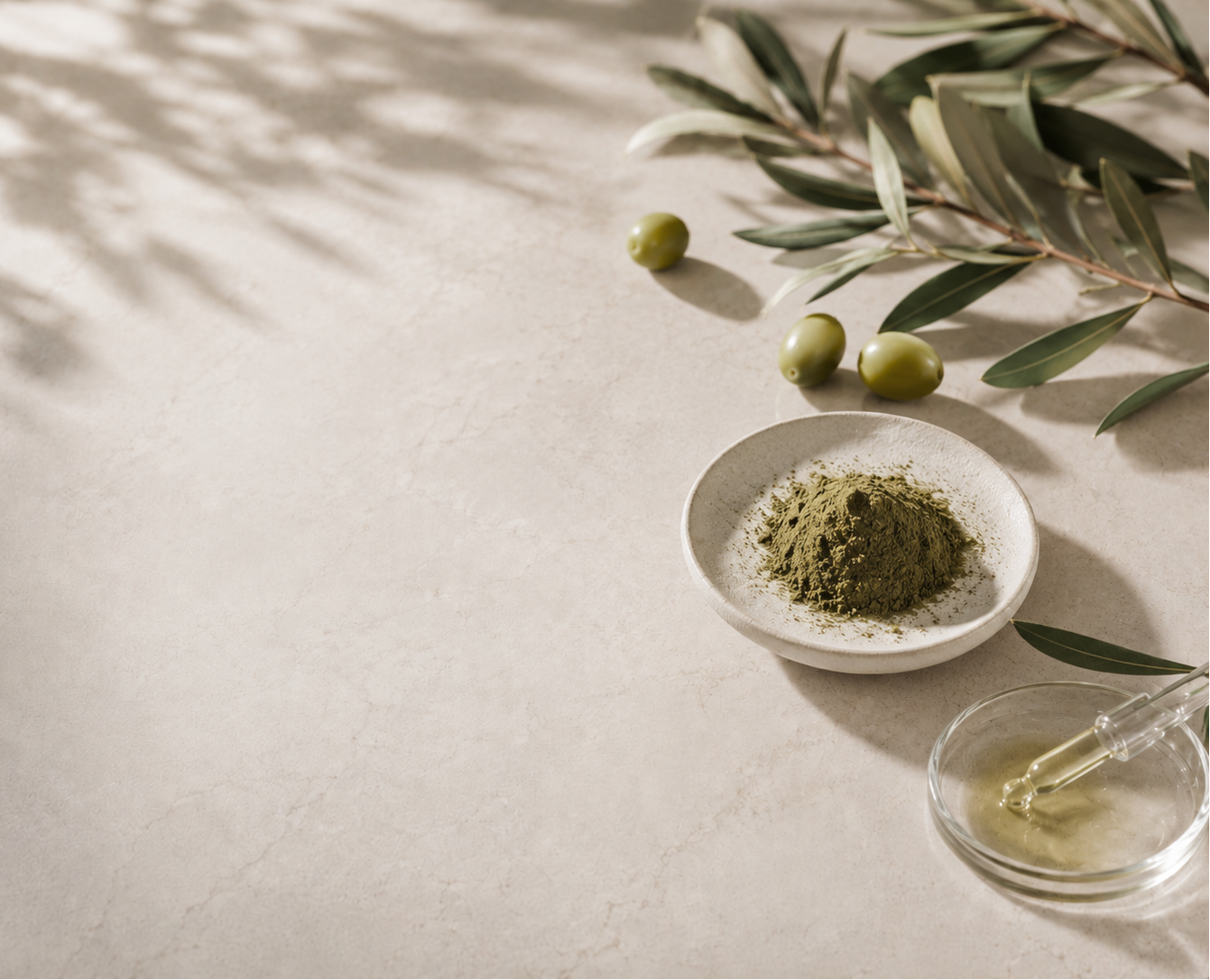 Olive-derived polyphenols: key research